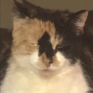 Meet your Posher, Haley